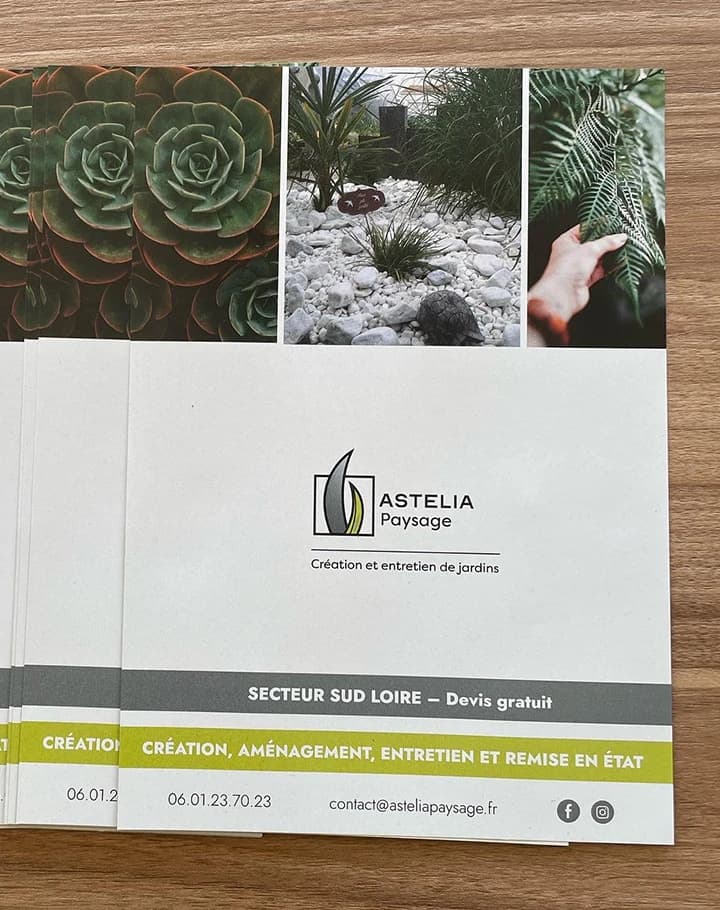 Identité de marque Astelia paysage, planche 1