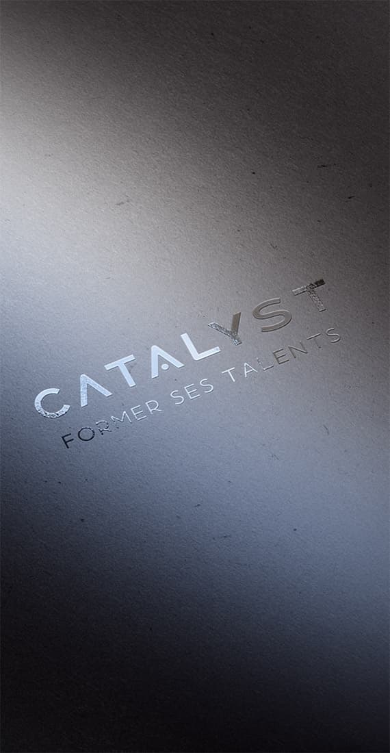 Charte graphique Catalyst Formation, planche 3
