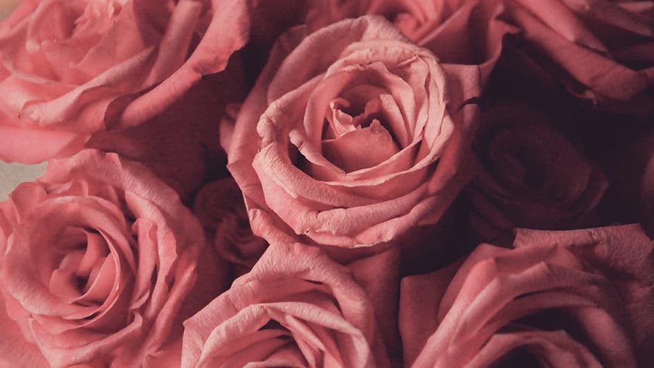 Apprenez à utiliser efficacement le rose dans votre identité de marque !