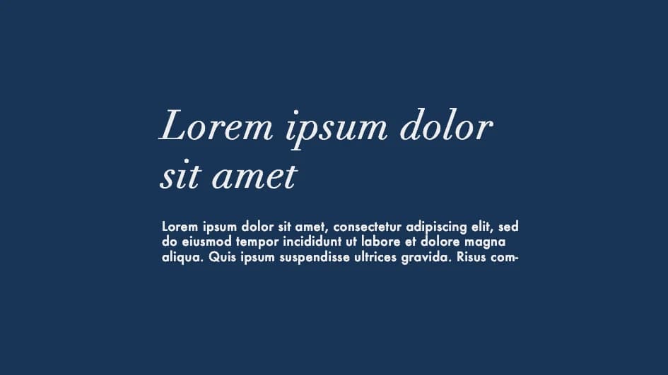 Typographies Didot et outra sur fond bleu pour une identité visuelle prestigieuse.