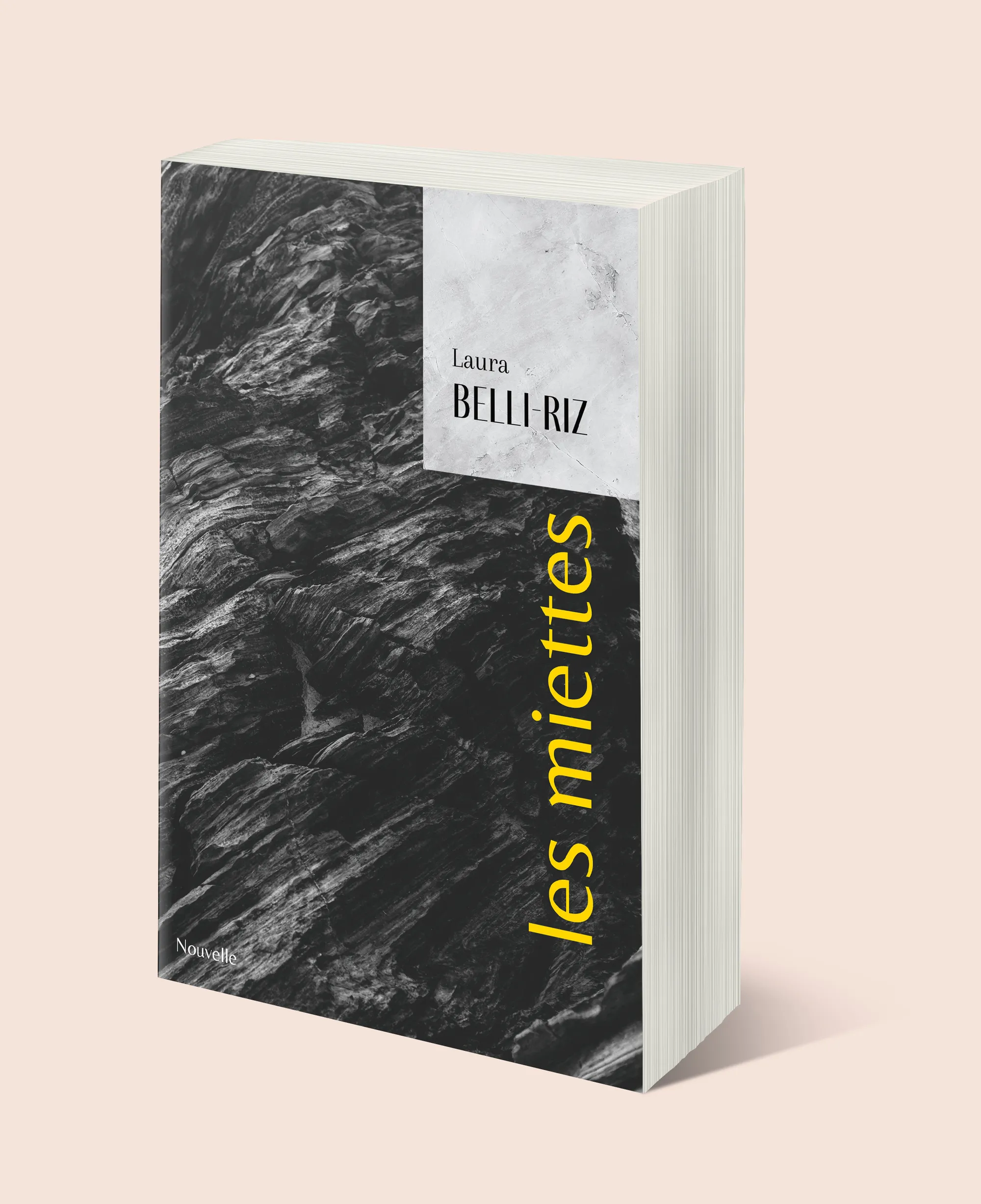 Couverture du livre Les miettes de Laura Belli-Riz