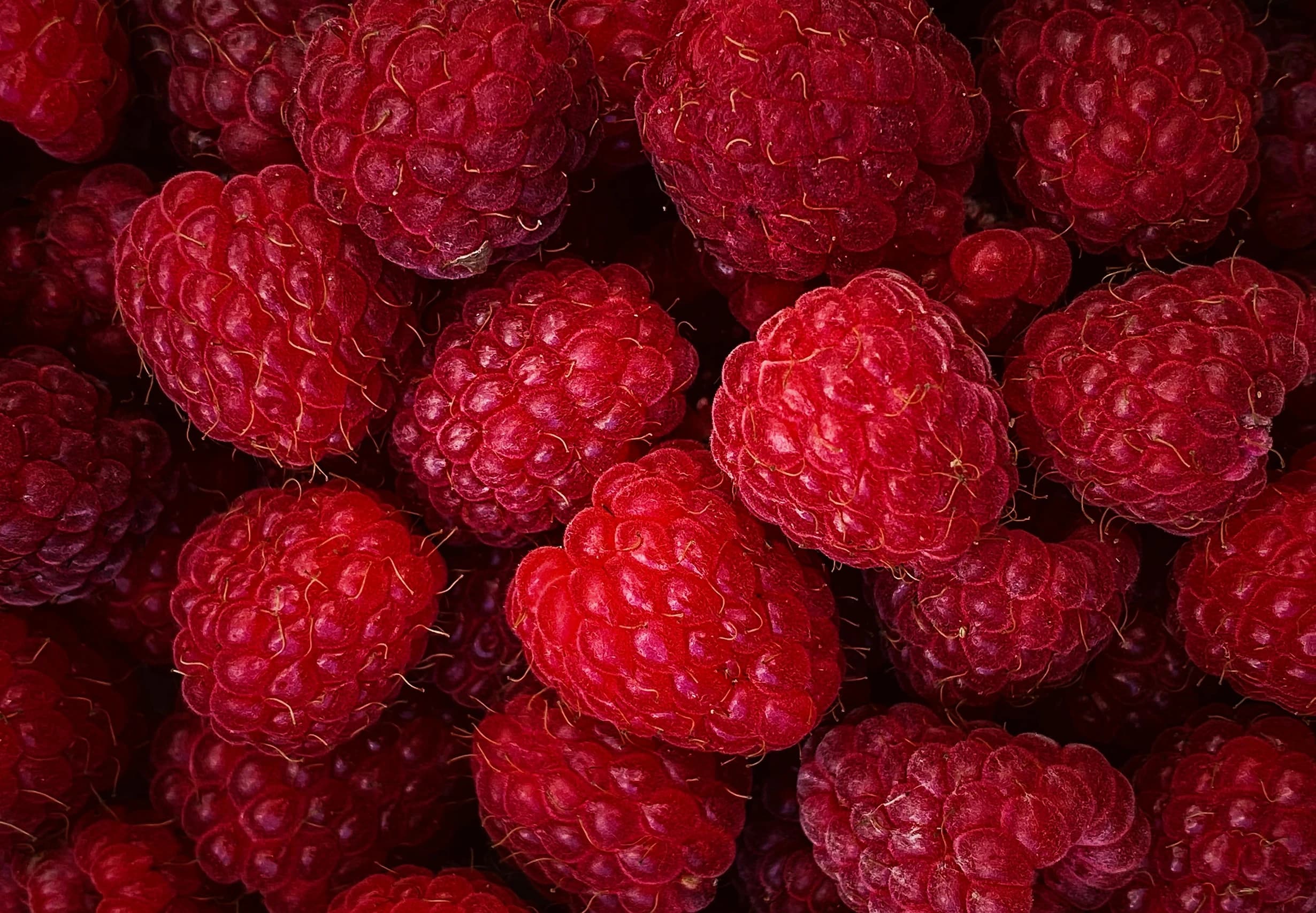 Gros plan de framboises, bannière du projet Bistro L’M à Sundhoffen, identité visuelle par le Studio Citron Sorbet, graphiste à Nantes